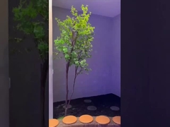 صفحه نور مصنوعی LED CRI 95 برای Ø600*H380mm روشن و نور طبیعی