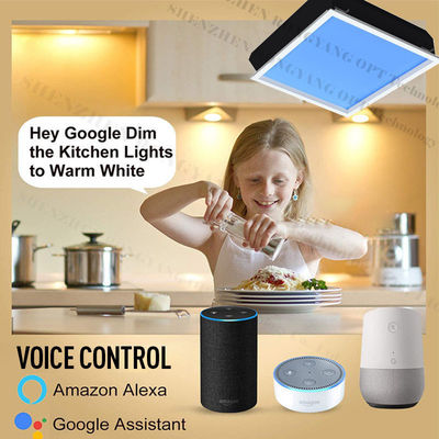 خرید 6-10 متر مربع ناحیه تابش شده نور سقف آسمان مصنوعی L600*W600*H295mm تولید آنلاین